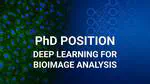 📢 Open 4-year PhD Position in Deep Learning for Bioimage Analysis!