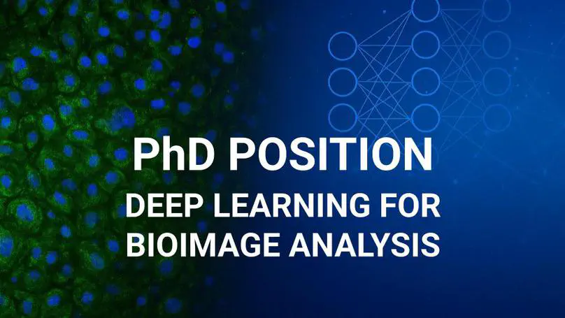 📢 Open 4-year PhD Position in Deep Learning for Bioimage Analysis!