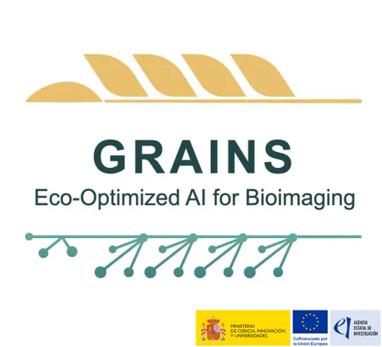 CALM4GRAINS - Cross-domain Adaptation and Learning for Microscopy (2025-2028)