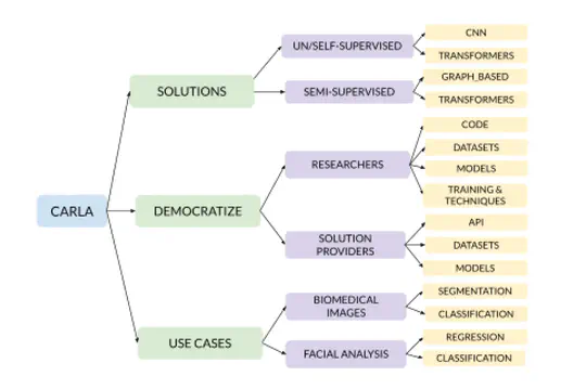 CARLA – Computer Vision Approaches in Low Annotation Regimes: biomedical and facial image analysis (2022-2025)
