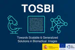 TOSBI – Towards Scalable and Generalized Solutions in Biomedical Images (2025–2028)