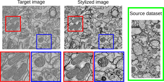 Deep learning based domain adaptation for mitochondria segmentation on ...