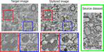 Deep learning based domain adaptation for mitochondria segmentation on EM volumes