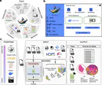 BiaPy: Accessible deep learning on bioimages