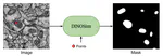 DINOSim: Zero-Shot Object Detection and Semantic Segmentation on Electron Microscopy Images